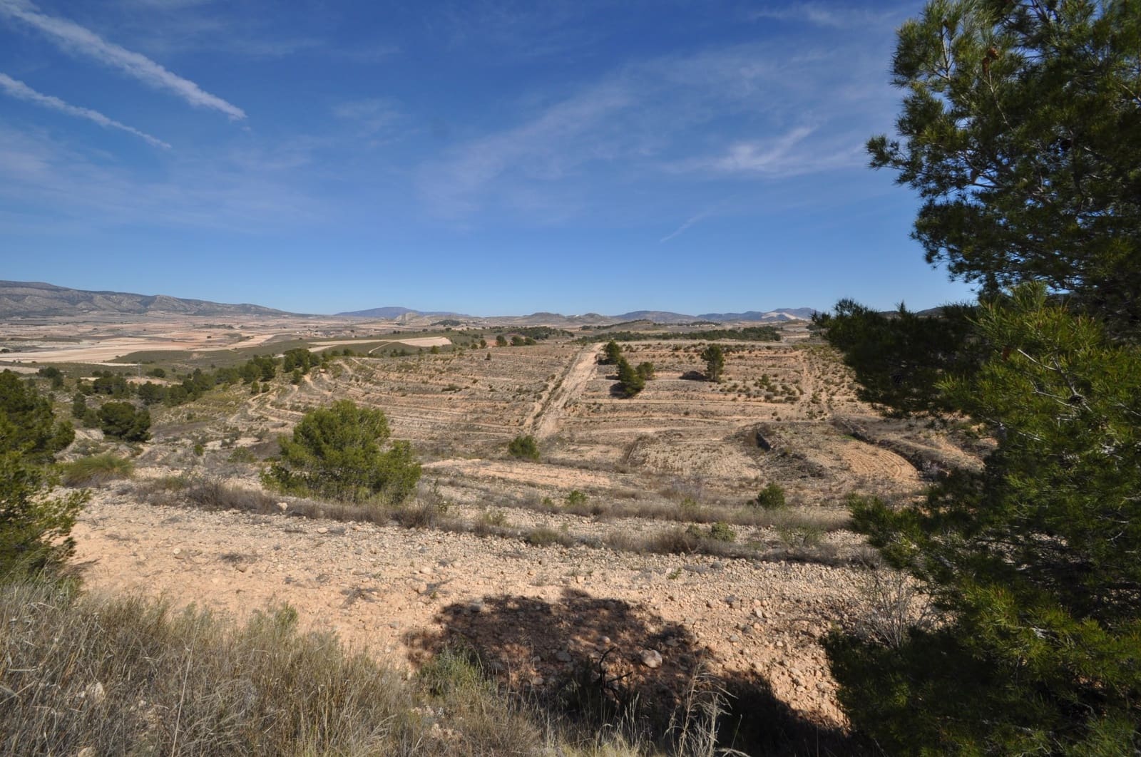 Undeveloped Land for sale in La Zarza - € 39,900 (Ref: 9687240)