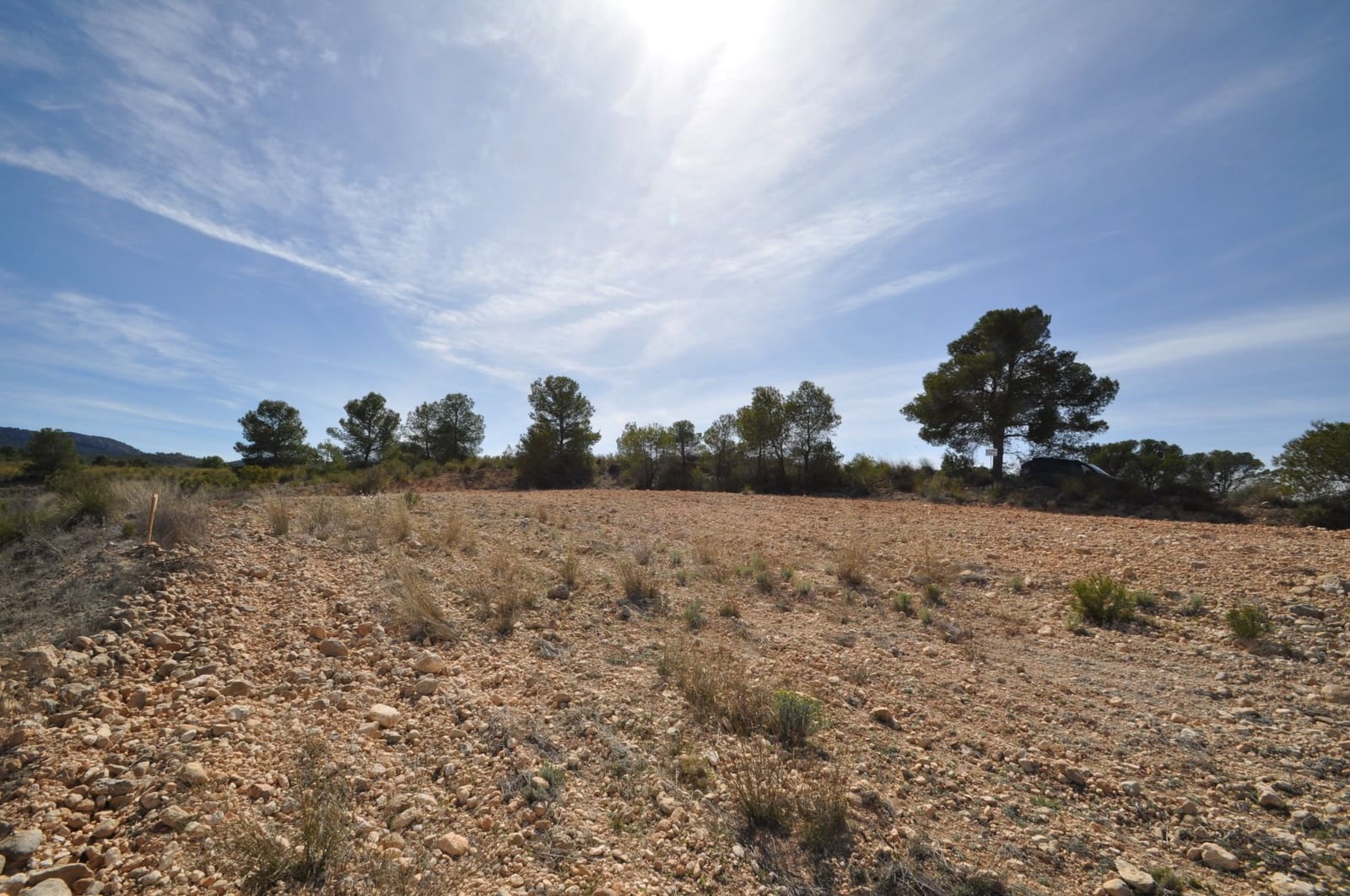 Undeveloped Land for sale in La Zarza - € 39,900 (Ref: 9687240)