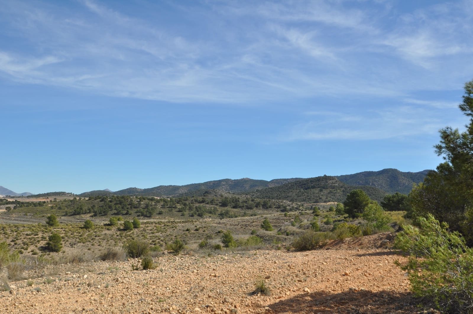 Undeveloped Land for sale in La Zarza - € 39,900 (Ref: 9687240)