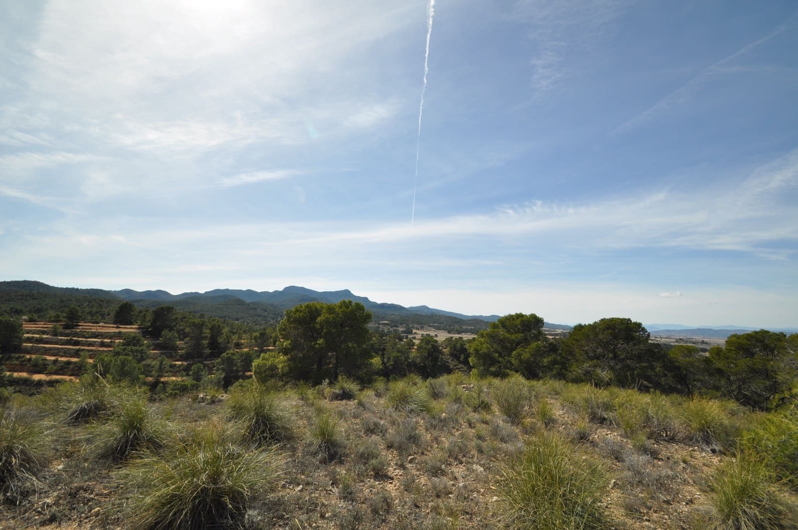 Undeveloped Land for sale in La Zarza - € 39,900 (Ref: 9687240)