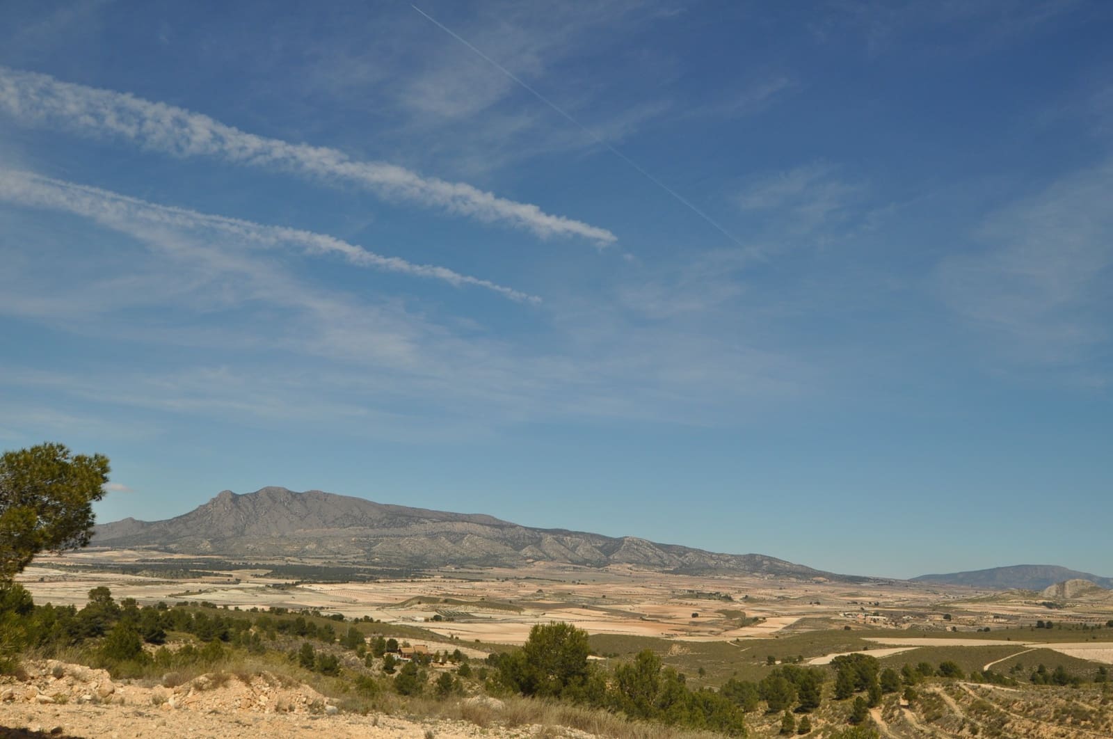 Terre non Aménagée à vendre à La Zarza - 39 900 € (Ref: 9687240)