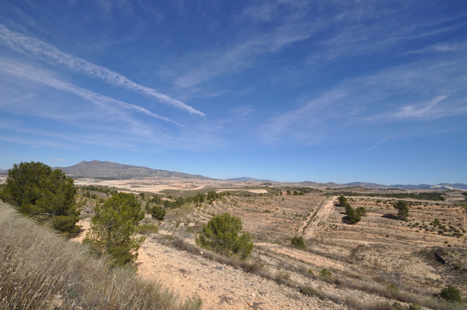 Terre non Aménagée à vendre à La Zarza - 39 900 € (Ref: 9687240)