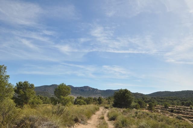 Terre non Aménagée à vendre à La Zarza, Jumilla - 39 900 € (Ref: 9687240)