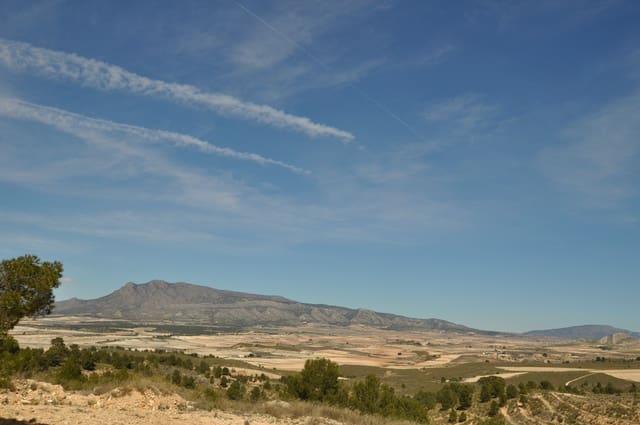 Terre non Aménagée à vendre à La Zarza, Jumilla - 39 900 € (Ref: 9687240)