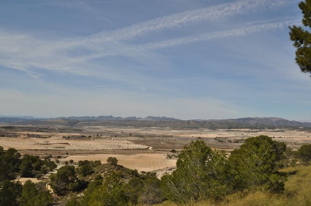 Terre non Aménagée à vendre à La Zarza, Jumilla - 39 900 € (Ref: 9687240)