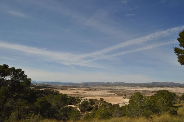 Terre non Aménagée à vendre à La Zarza, Jumilla - 39 900 € (Ref: 9687240)
