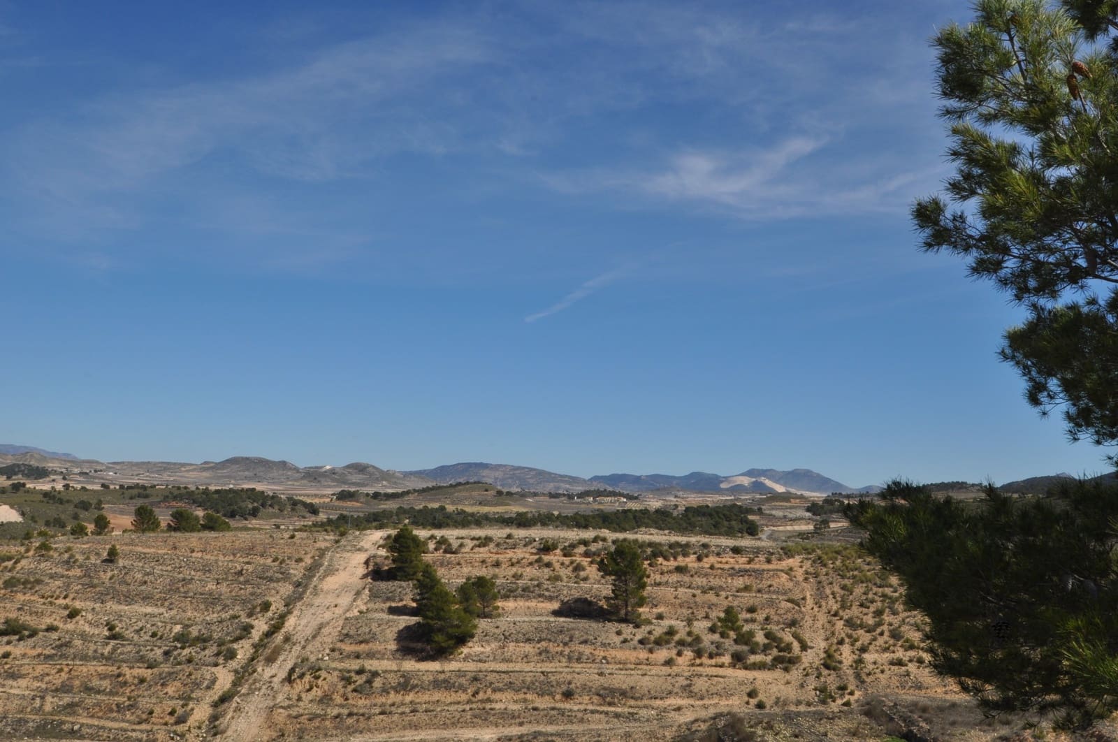 Terre non Aménagée à vendre à La Zarza - 39 900 € (Ref: 9687240)