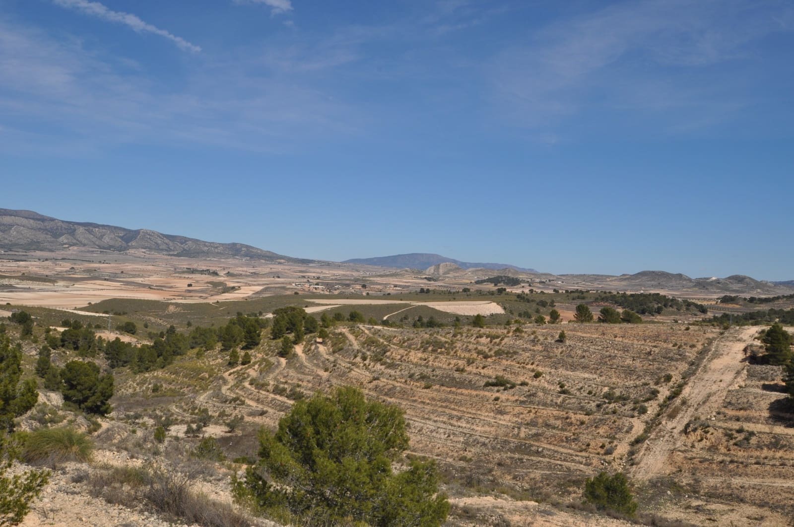 Terre non Aménagée à vendre à La Zarza - 39 900 € (Ref: 9687240)