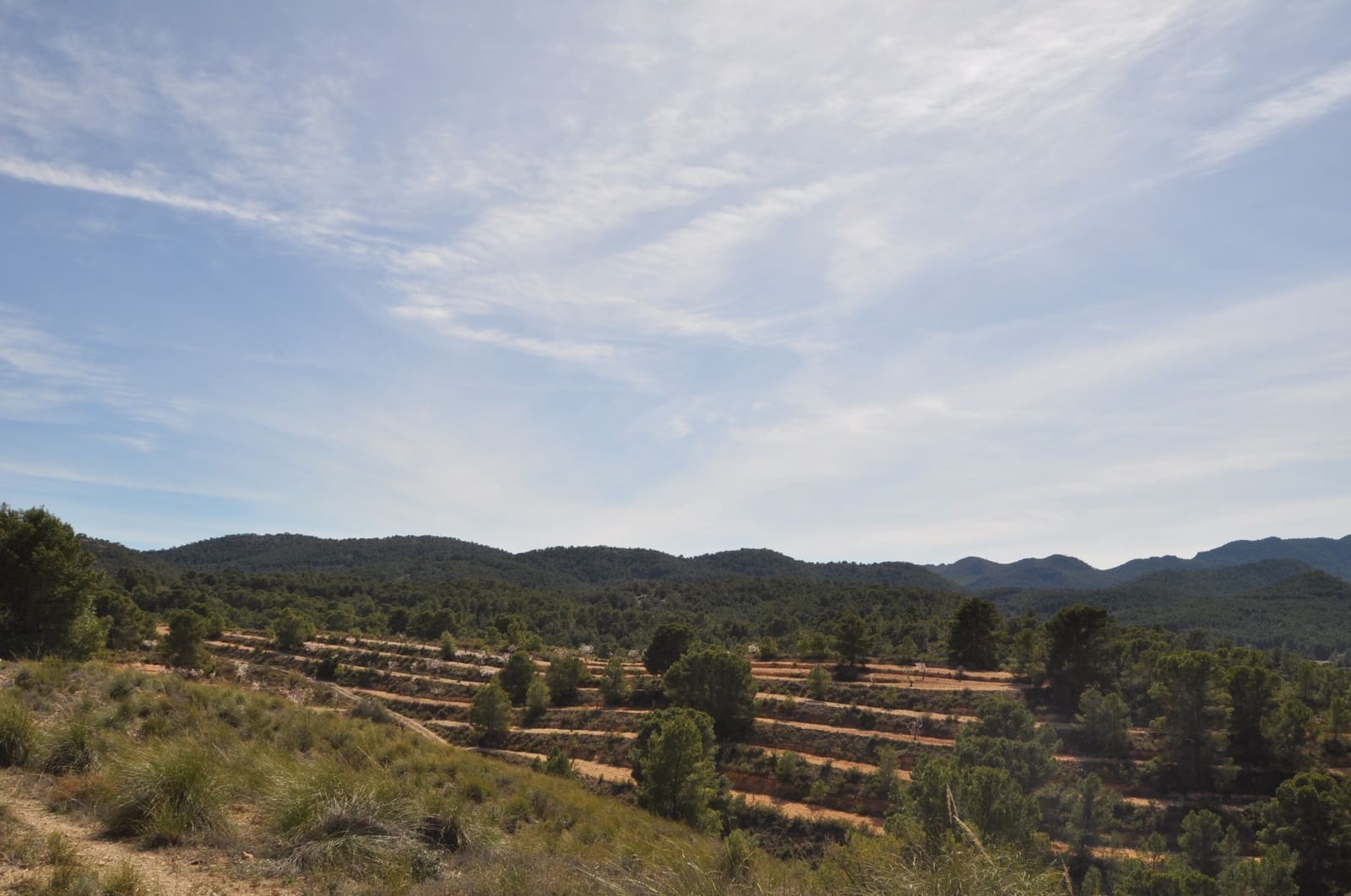 Terre non Aménagée à vendre à La Zarza - 39 900 € (Ref: 9687240)