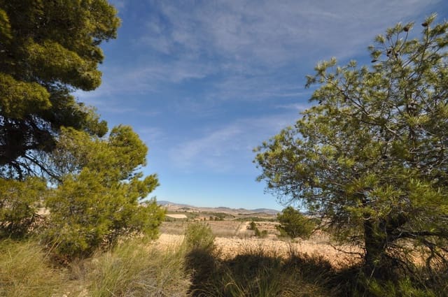 Terre non Aménagée à vendre à La Zarza, Jumilla - 39 900 € (Ref: 9687240)