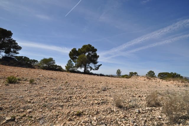 Terre non Aménagée à vendre à La Zarza, Jumilla - 39 900 € (Ref: 9687240)
