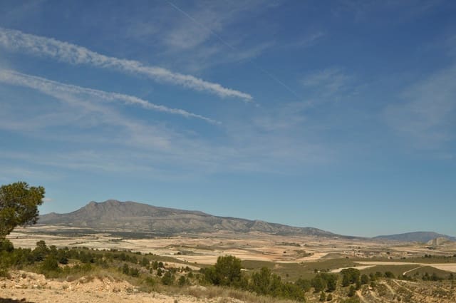 Grunde uden byggetilladelser til salg i La Zarza, Jumilla - € 39.900 (Ref: 9687240)