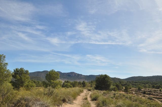 Grunde uden byggetilladelser til salg i La Zarza, Jumilla - € 39.900 (Ref: 9687240)