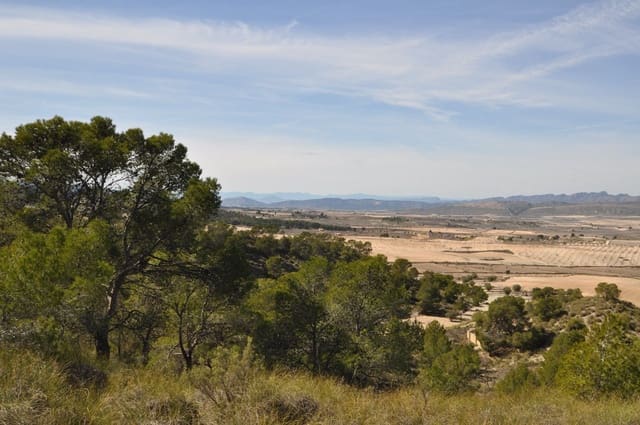 Grunde uden byggetilladelser til salg i La Zarza, Jumilla - € 39.900 (Ref: 9687240)