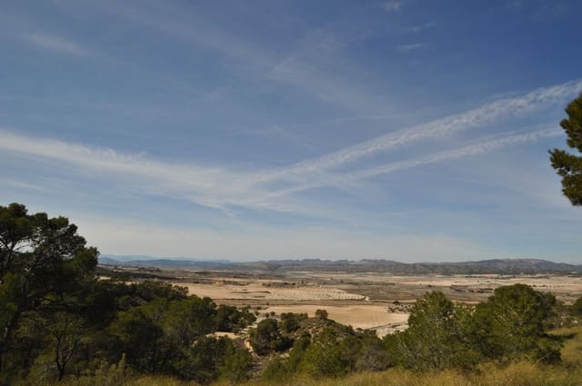 Grunde uden byggetilladelser til salg i La Zarza, Jumilla - € 39.900 (Ref: 9687240)
