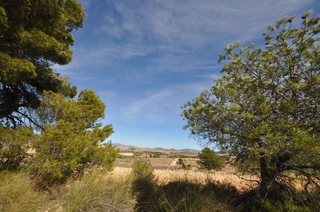 Grunde uden byggetilladelser til salg i La Zarza, Jumilla - € 39.900 (Ref: 9687240)