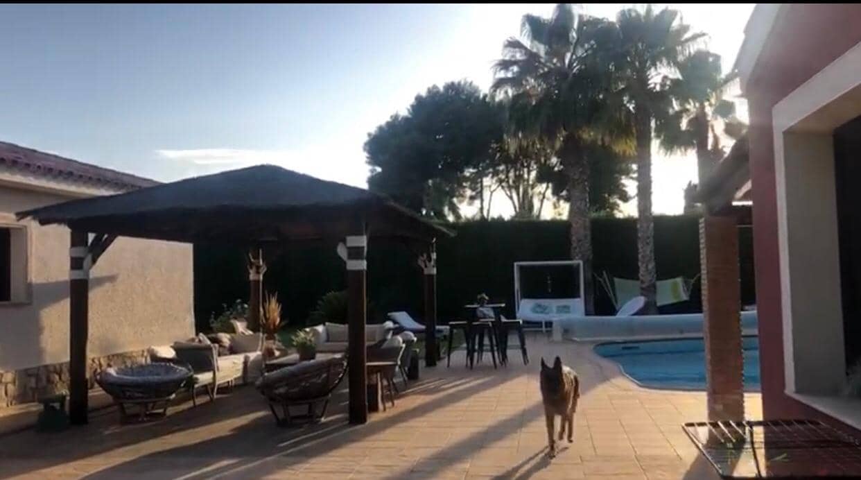 4 soveværelse Villa til salg i Elda med swimmingpool - € 579.995 (Ref: 9700067)