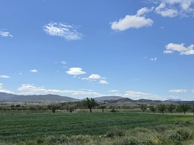 Ubebygd land til salgs i Monóvar / Monóver - € 6 000 (Ref: 9714055)