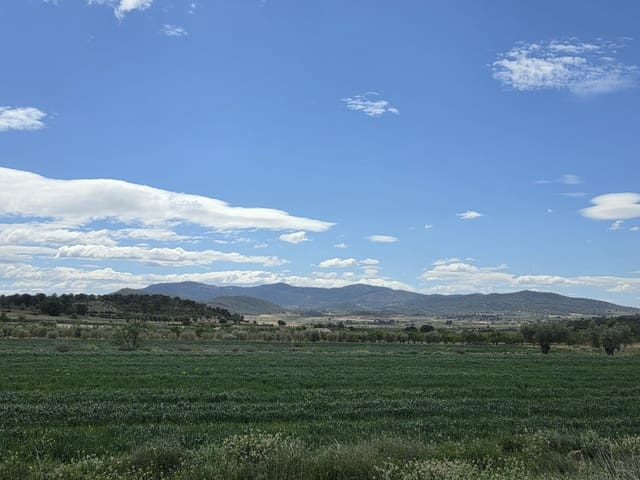 Ubebygd land til salgs i Monóvar / Monóver - € 6 000 (Ref: 9714055)