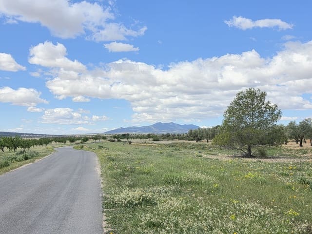 Ubebygd land til salgs i Monóvar / Monóver - € 6 000 (Ref: 9714055)