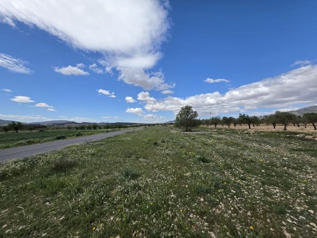 Ubebygd land til salgs i Monóvar / Monóver - € 6 000 (Ref: 9714055)