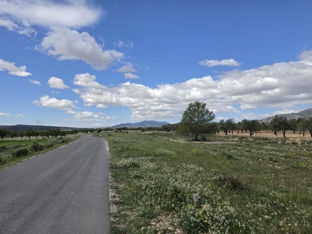 Ubebygd land til salgs i Monóvar / Monóver - € 6 000 (Ref: 9714055)