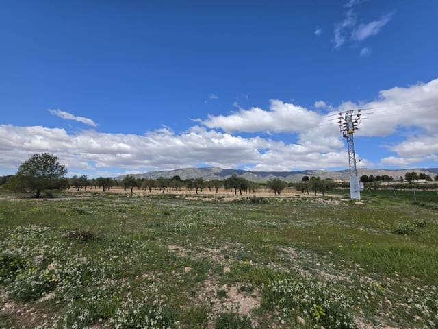 Ubebygd land til salgs i Monóvar / Monóver - € 6 000 (Ref: 9714055)