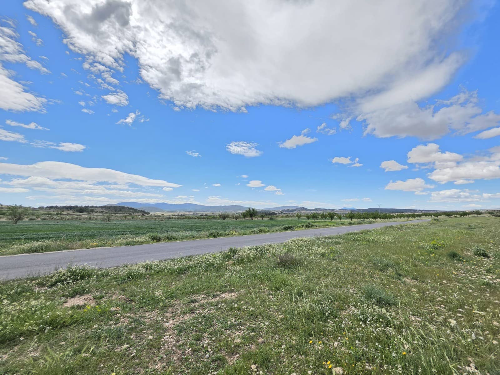Undeveloped Land for sale in Monovar / Monover - € 6,000 (Ref: 9714055)