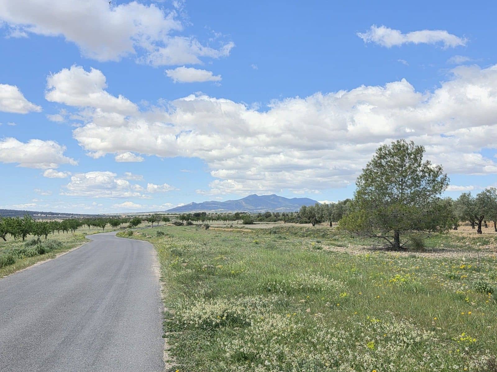 Undeveloped Land for sale in Monovar / Monover - € 6,000 (Ref: 9714055)