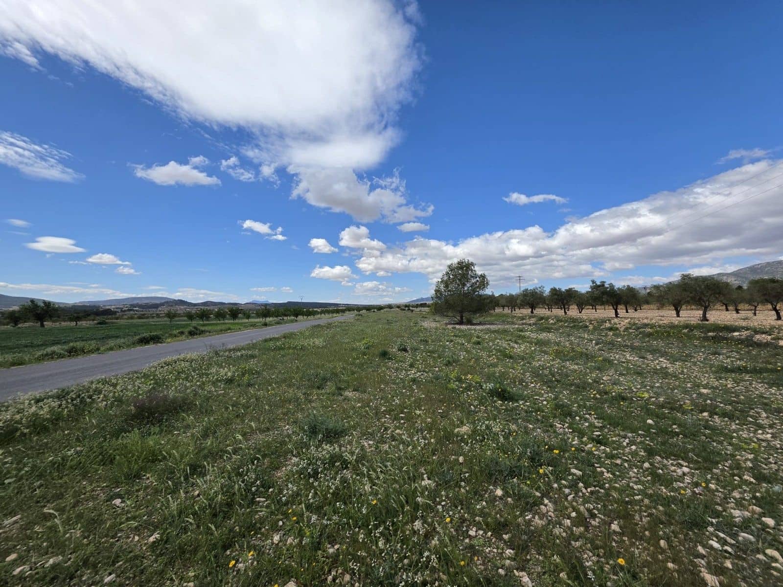 Undeveloped Land for sale in Monovar / Monover - € 6,000 (Ref: 9714055)