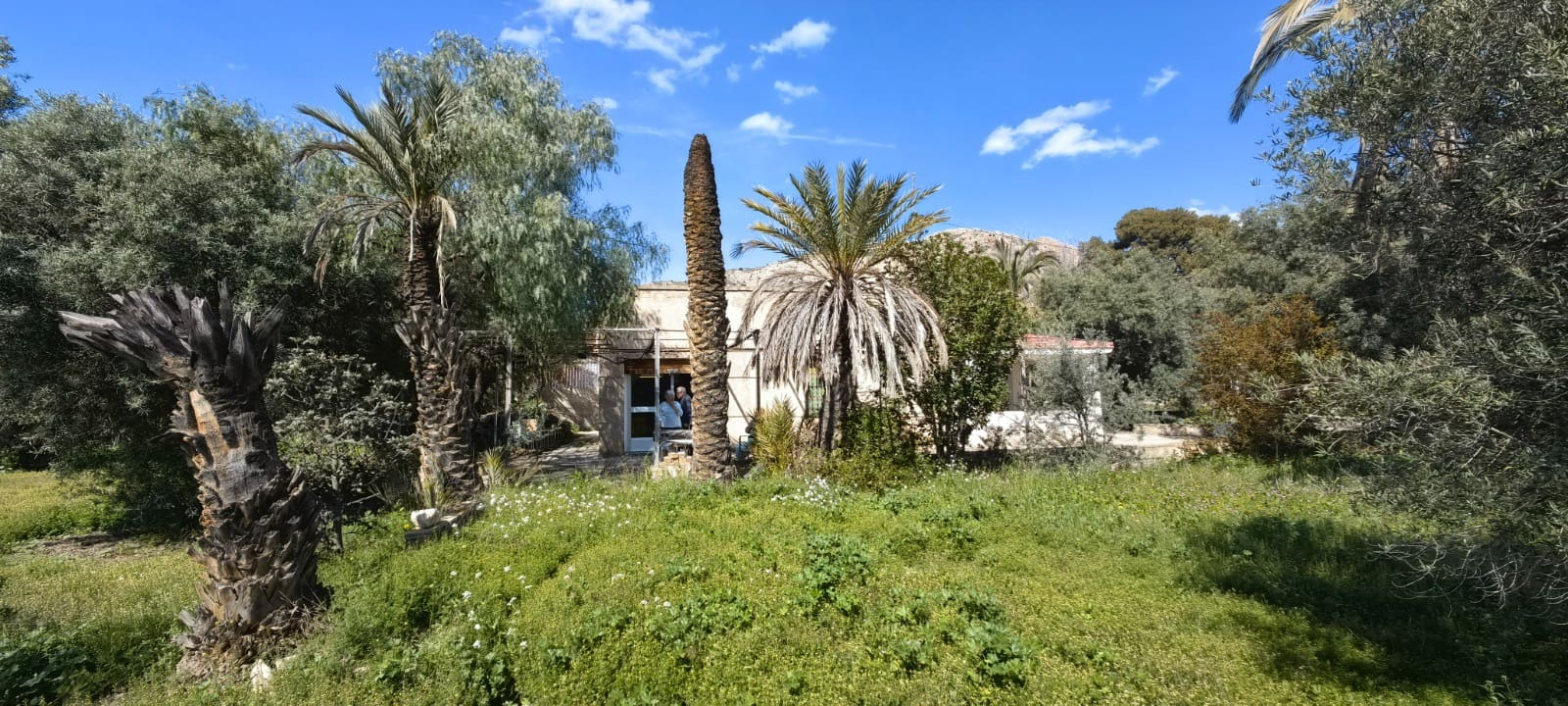 3 soveværelse Finca/Landehus til salg i Elda - € 172.000 (Ref: 9714170)