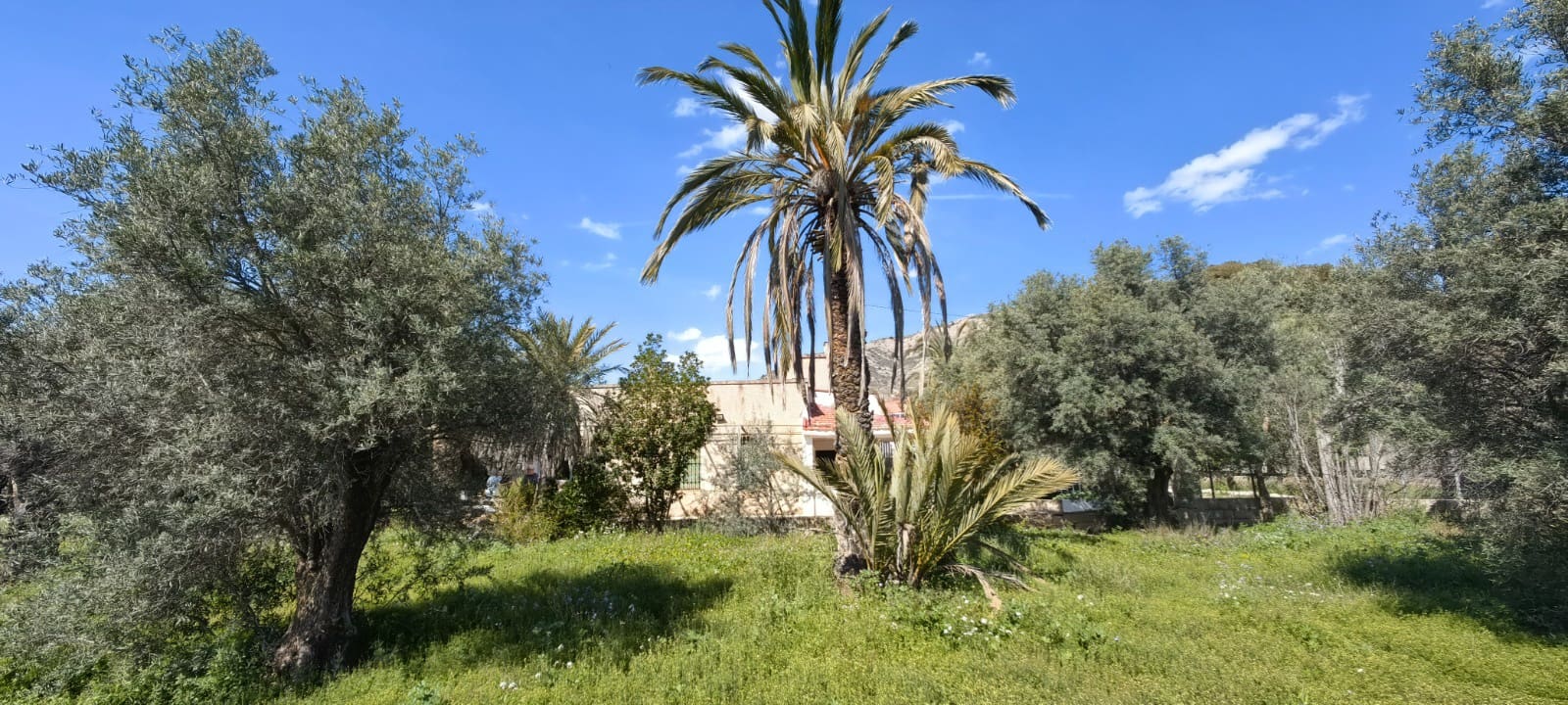 3 soveværelse Finca/Landehus til salg i Elda - € 172.000 (Ref: 9714170)