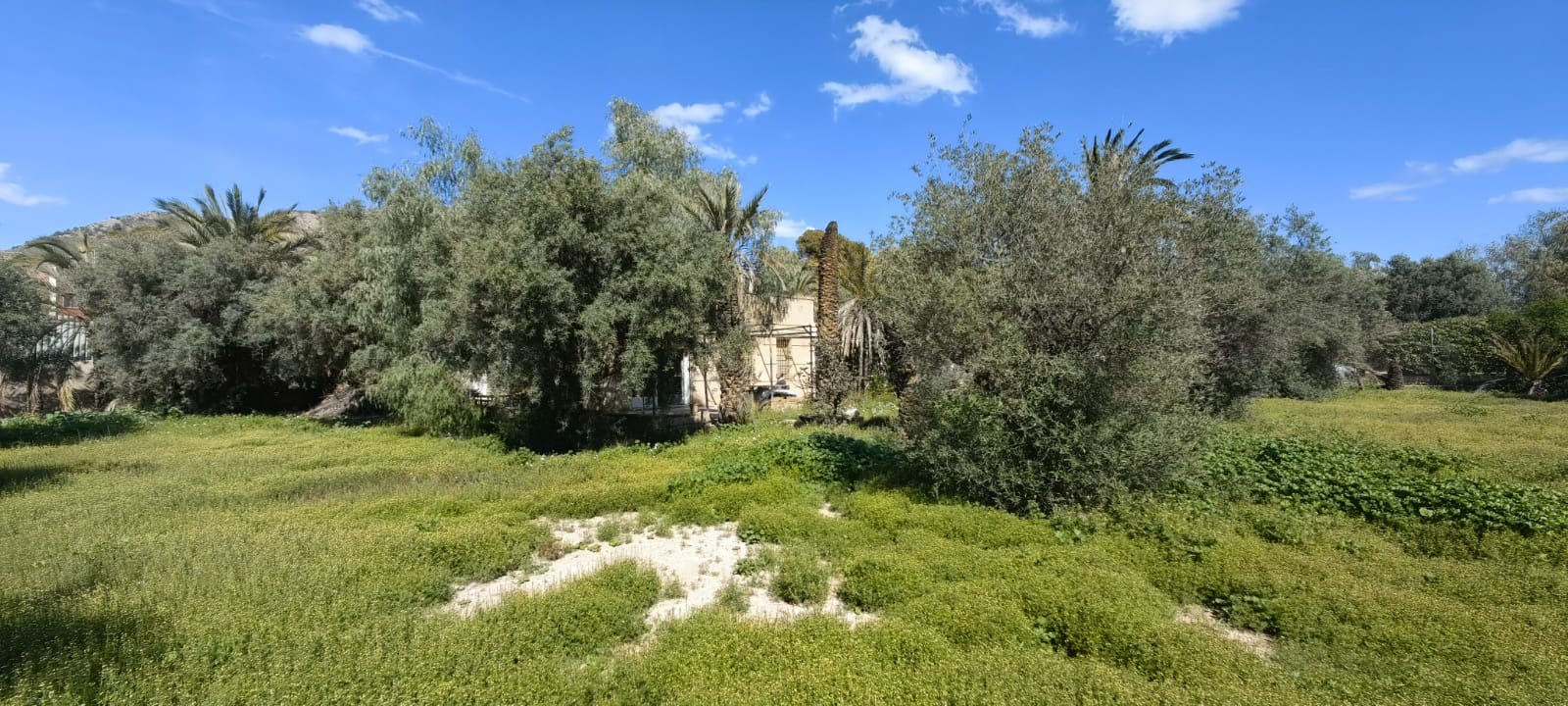 3 soveværelse Finca/Landehus til salg i Elda - € 172.000 (Ref: 9714170)