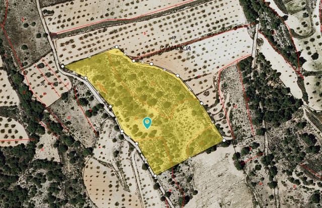 Terre non Aménagée à vendre à Monóvar / Monóver - 39 995 € (Ref: 9714381)