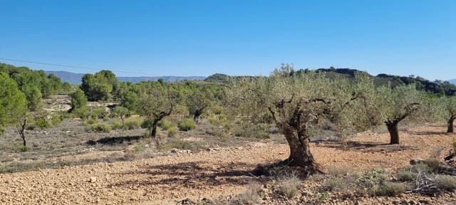 Terre non Aménagée à vendre à Monóvar / Monóver - 39 995 € (Ref: 9714381)