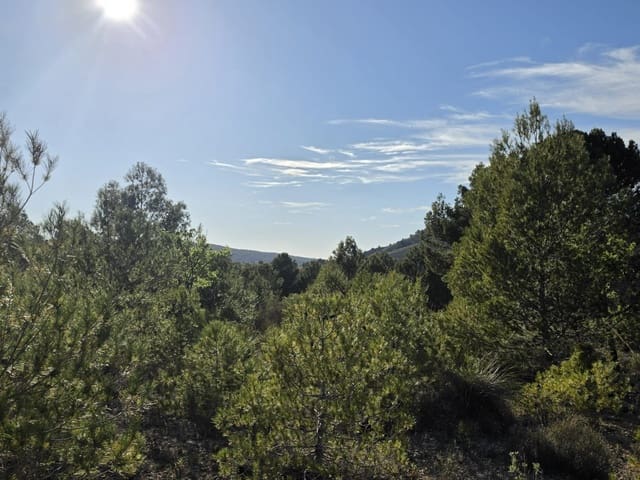 Ubebygd land til salgs i Monóvar / Monóver - € 39 995 (Ref: 9714381)