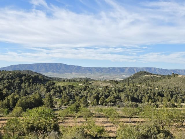 Ubebygd land til salgs i Monóvar / Monóver - € 39 995 (Ref: 9714381)