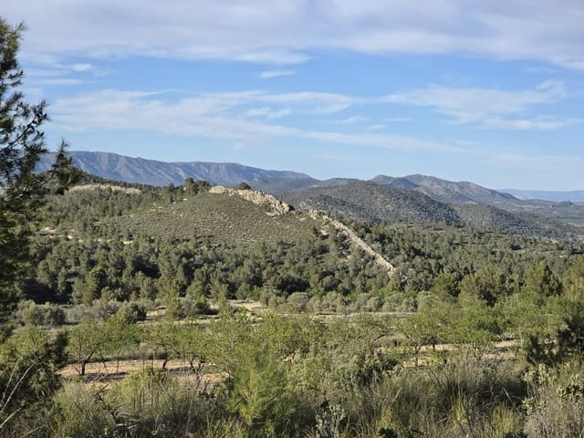 Ubebygd land til salgs i Monóvar / Monóver - € 39 995 (Ref: 9714381)