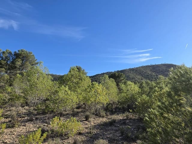 Ubebygd land til salgs i Monóvar / Monóver - € 39 995 (Ref: 9714381)