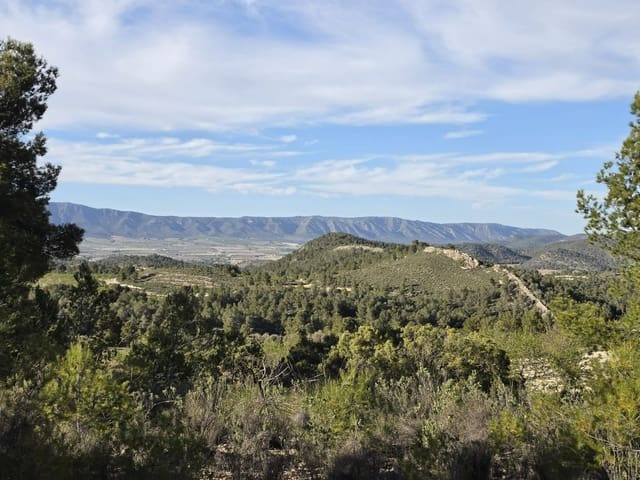 Ubebygd land til salgs i Monóvar / Monóver - € 39 995 (Ref: 9714381)