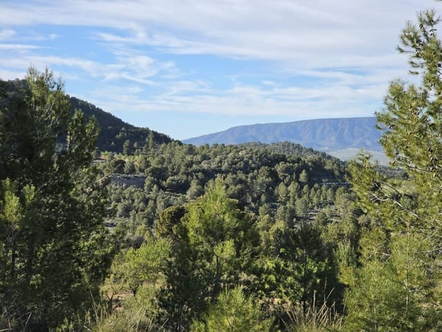Ubebygd land til salgs i Monóvar / Monóver - € 39 995 (Ref: 9714381)