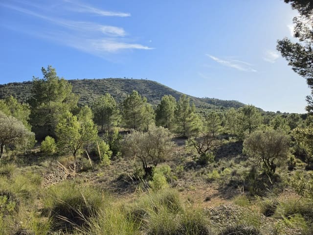 Ubebygd land til salgs i Monóvar / Monóver - € 39 995 (Ref: 9714381)