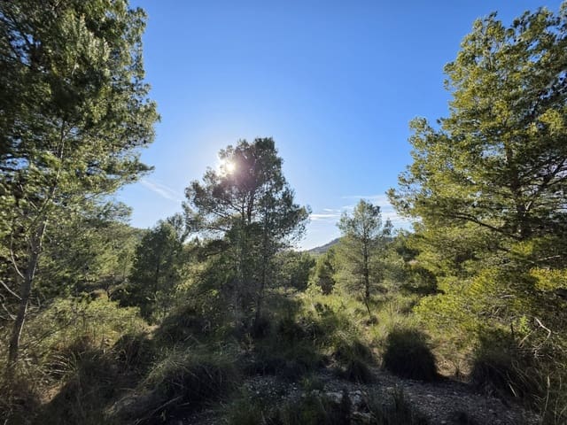 Ubebygd land til salgs i Monóvar / Monóver - € 39 995 (Ref: 9714381)