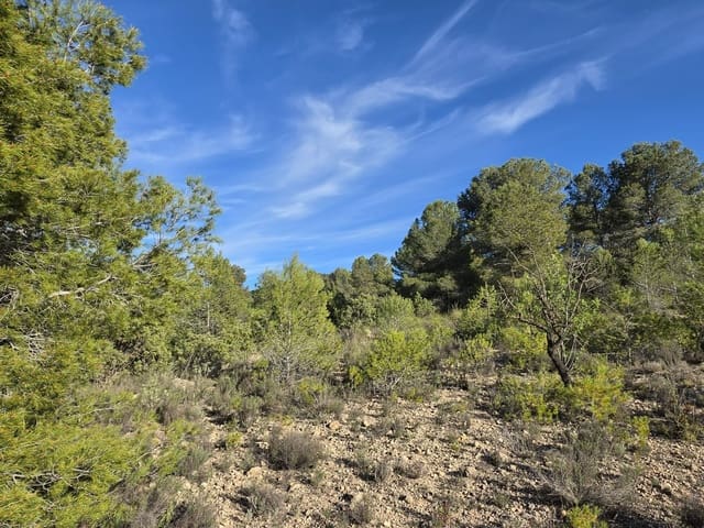 Ubebygd land til salgs i Monóvar / Monóver - € 39 995 (Ref: 9714381)