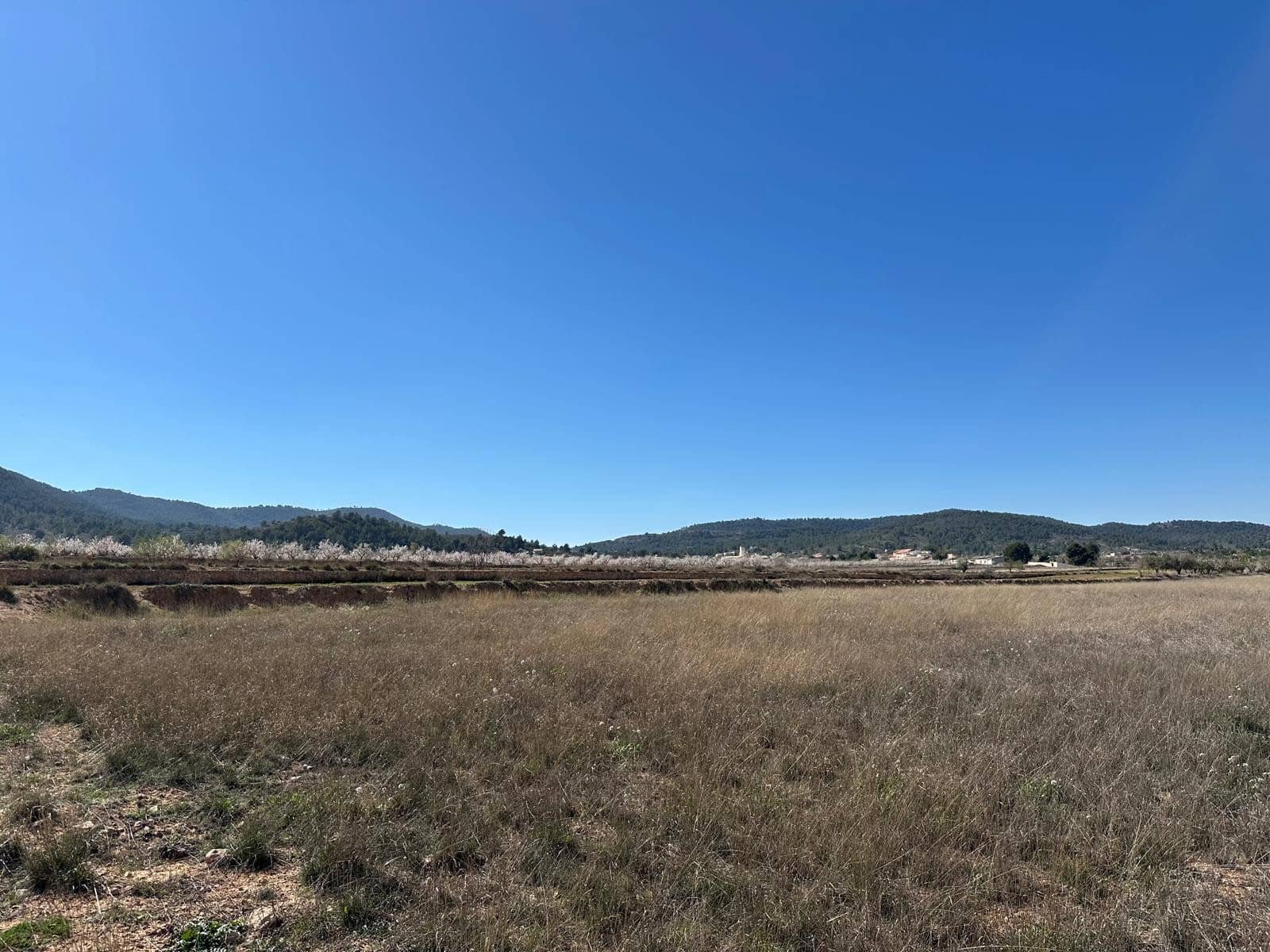 Terreno Non Edificato in vendita in Monovar / Monover - 44.995 € (Rif: 9714382)