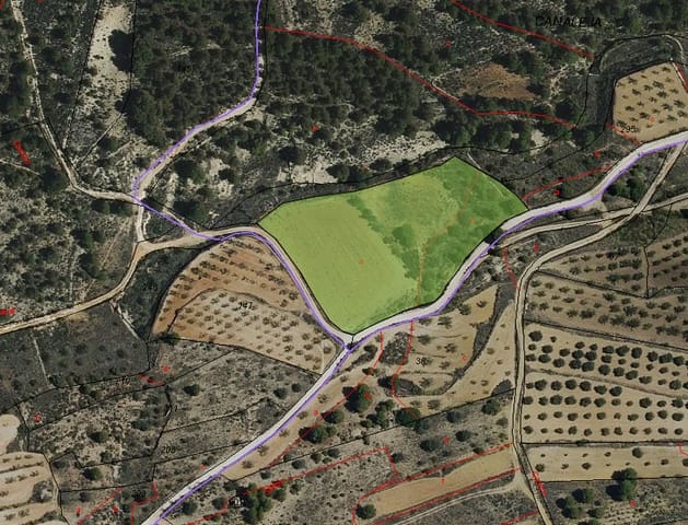 Terreno Não Urbanizado para venda em Monóvar / Monóver - 14 995 € (Ref: 9714383)