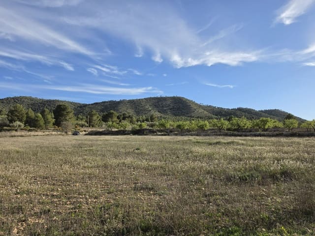 Ubebygd land til salgs i Monóvar / Monóver - € 14 995 (Ref: 9714383)