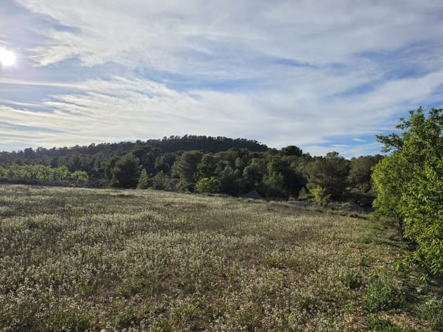 Ubebygd land til salgs i Monóvar / Monóver - € 14 995 (Ref: 9714383)