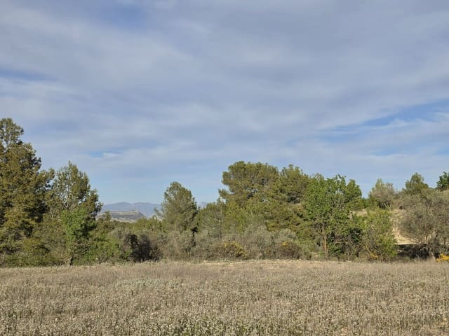 Ubebygd land til salgs i Monóvar / Monóver - € 14 995 (Ref: 9714383)