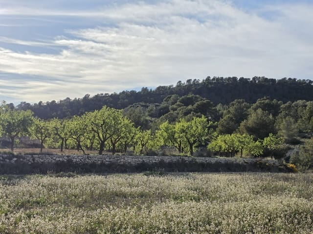 Ubebygd land til salgs i Monóvar / Monóver - € 14 995 (Ref: 9714383)